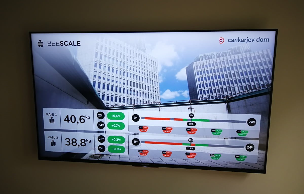 Ansicht der Daten der Bienenstockwaage auf einen TV