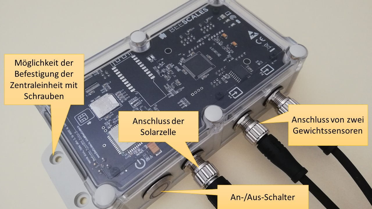 Präsentation der Zentraleinheit